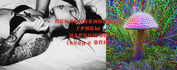 соль ск Кинешма