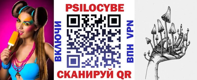 продажа наркотиков  Касимов  OMG ссылки  Псилоцибиновые грибы Psilocybe 