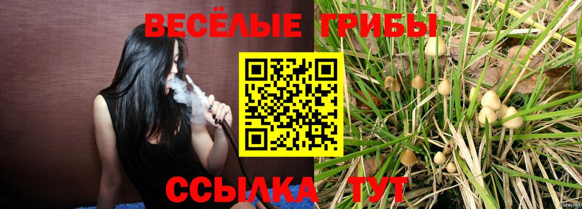 Галлюциногенные грибы ЛСД Касимов